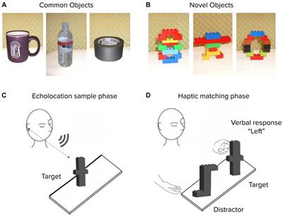 Object recognition via echoes: quantifying the crossmodal transfer of three-dimensional shape information between echolocation, vision, and haptics